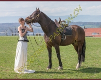 2AMAZONE- 0008